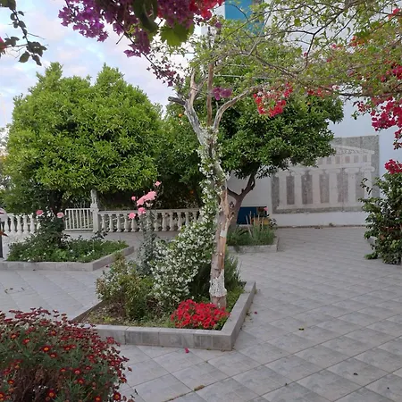 Apollon Aparthotel 2*