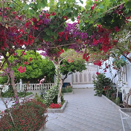 公寓式酒店 阿波罗酒店 2*