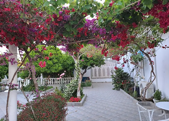 Aparthotel Apollon 2*